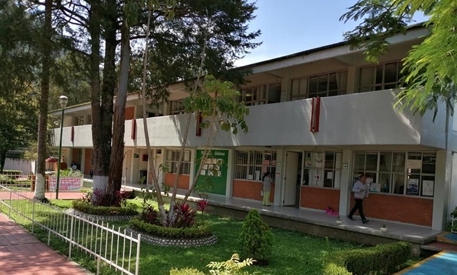 CONALEP ORIZABA 252